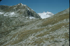Reichenspitz