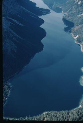 Plansee