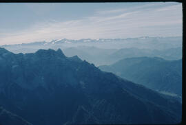 Venediger Gruppe, Fellhorn