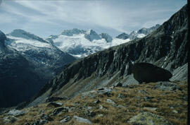 Rainbach Kogl