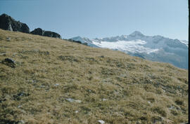 Schlieferspitz,Krimmlertal