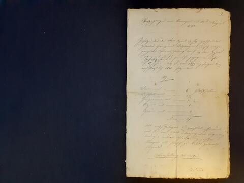 Original Digital object not accessible
