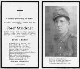 Strickner Josef