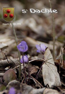 s'Dachle Ausgabe 44