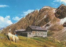 Dresdner Hütte (2308m) Sommer