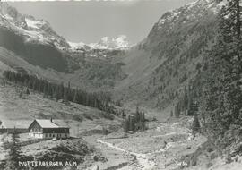 Mutterberger Alm (1720m) mit Schaufelspitze (3332m)