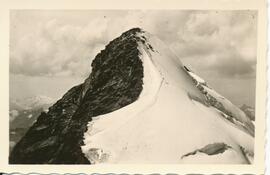 Zuckerhütl (3511m)