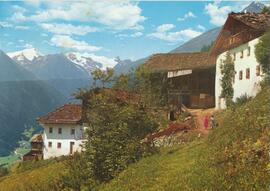 Kartnallhöfe