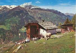 Jausenstation Autenalm