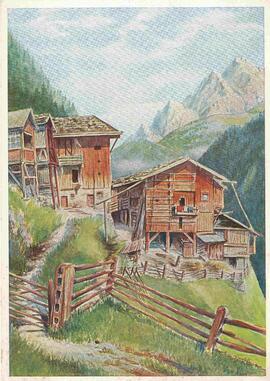 Kartnallhöfe