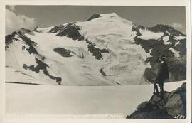 Blick von der Nürnberger-Scharte auf Wilder Freiger (3426m)