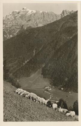 Blick auf Stackler (Au) (Ausbildungslager)