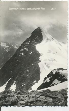 Zuckerhütl (3511m)