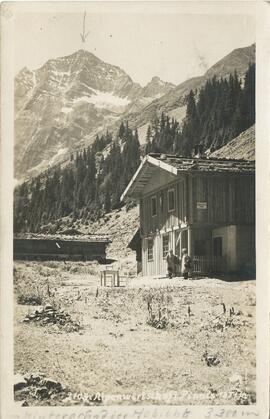Alpenwirtschaft Pinnis mit Habicht