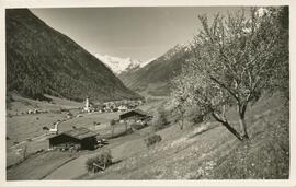 Neustift mit Singerhöfen