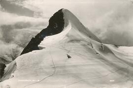 Zuckerhütl (3511m)