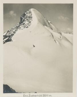 Zuckerhütl (3511m)