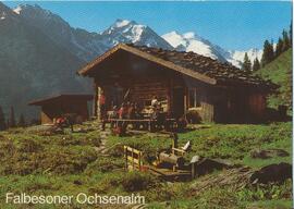 Falbesoner Ochsenalm (1830m)