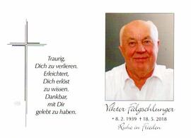 Viktor Falgschlunger