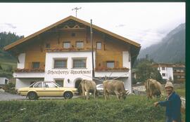 Almabtrieb 1981 6