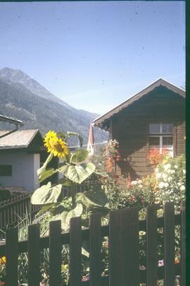 Mischmasch 4 19