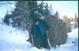 Heuziehen Hundskopf 1987 5