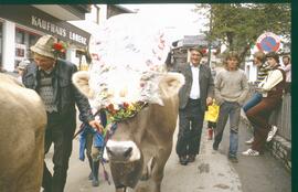 Almabtrieb 1981 26