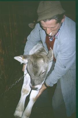 Heuziehen Hundskopf 1987 35