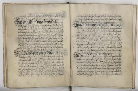 Original Digitaal object not accessible