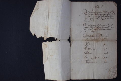 Original Digital object not accessible