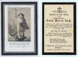 Koch, Anna Maria