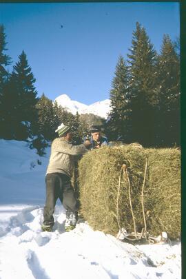 Heuziehen Hundskopf 1987 23