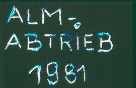 Almabtrieb 1981 8