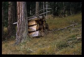 Holzstapel