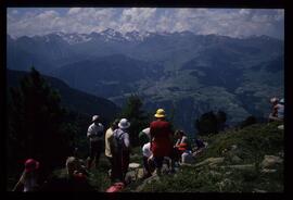 Landschaft im Sommer