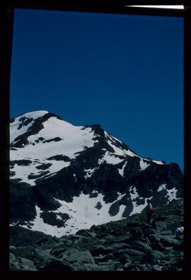 Landschaft im Sommer