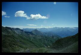 Landschaft im Sommer