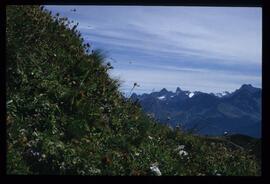 Oetztaler Alpen