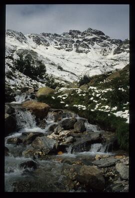 Landschaft im Sommer