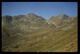 Landschaft im Sommer