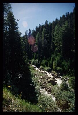 Landschaft, Wandern