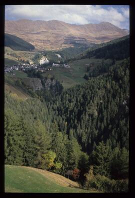 Landschaft im Sommer