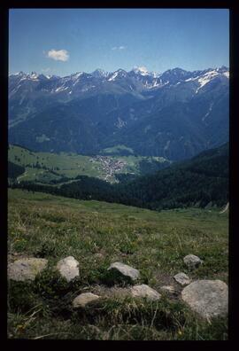 Landschaft im Sommer