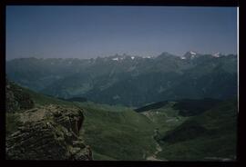 Landschaft im Sommer