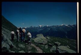 Landschaft im Sommer