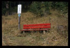 Gäste im Dorf