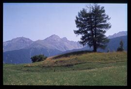 Landschaft, Wandern