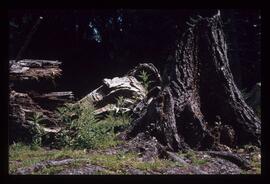 Bergwandern