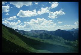 Landschaft im Sommer