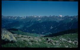 Landschaft im Sommer